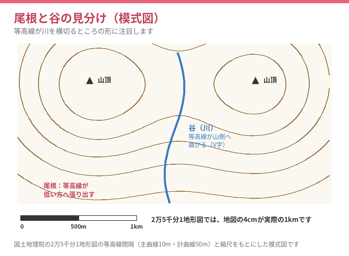 尾根と谷の見分け(模式図)